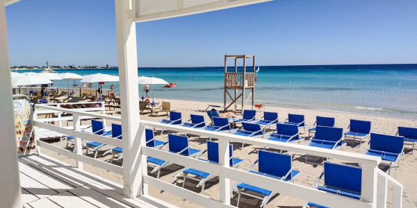 WhatsApp Image 2024-06-28 at 20.11.26